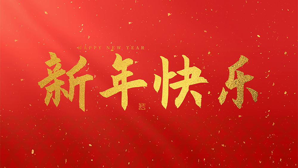 麗水市威儀自動(dòng)化技術(shù)有限公司祝全國(guó)人民2025新年快樂(lè)！